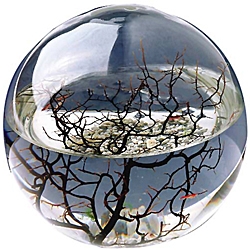 Ecosphere ecosystem 